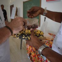 Milho crioulo resgatado por comunidade indígena 